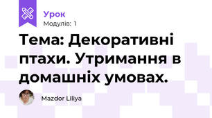 Тема: Декоративні птахи. Утримання в домашніх умовах.