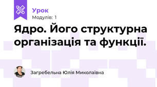 Ядро. Його структурна організація та функції.