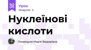 Нуклеїнові кислоти