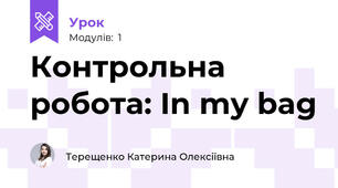 Контрольна робота: In my bag