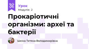 Прокаріотичні організми: археї та бактерії