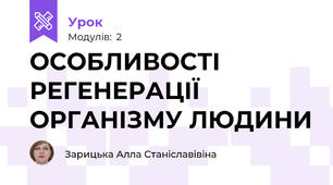 ОСОБЛИВОСТІ РЕГЕНЕРАЦІЇ ОРГАНІЗМУ ЛЮДИНИ