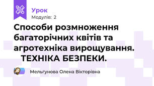 Способи розмноження багаторічних квітів та агротехніка вирощування.        ТЕХНІКА БЕЗПЕКИ.