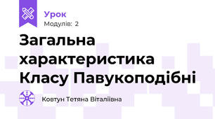 Загальна характеристика Класу Павукоподібні