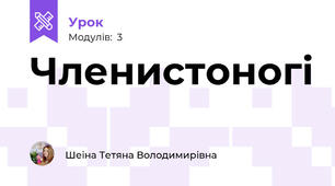 Членистоногі