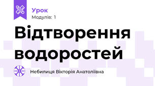 Відтворення водоростей