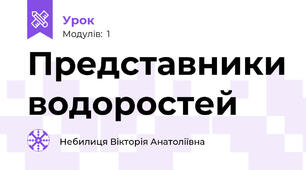 Представники водоростей