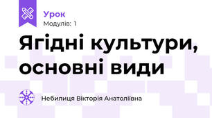 Ягідні культури, основні види