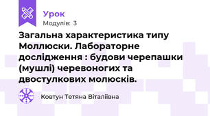 Загальна характеристика типу Моллюски. Лабораторне дослідження : будови черепашки (мушлі) черевоногих та двостулкових молюсків.
