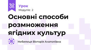 Основні способи розмноження ягідних культур