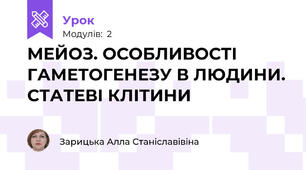 МЕЙОЗ. ОСОБЛИВОСТІ ГАМЕТОГЕНЕЗУ В ЛЮДИНИ. СТАТЕВІ КЛІТИНИ