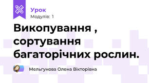 Викопування , сортування багаторічних рослин.