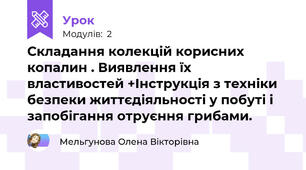Складання колекцій корисних копалин . Виявлення їх властивостей +Інструкція з техніки безпеки життєдіяльності у побуті і запобігання отруєння грибами.