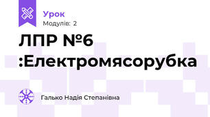 ЛПР №6 :Електромясорубка 
