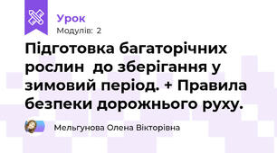Підготовка багаторічних рослин  до зберігання у зимовий період. + Правила безпеки дорожнього руху.