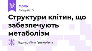 Структури клітин, що забезпечують метаболізм
