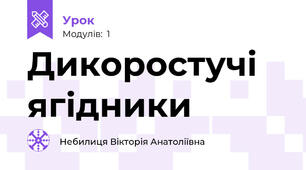 Дикоростучі ягідники