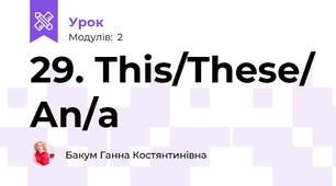 29. This/These/ An/a 