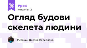 Огляд будови скелета людини