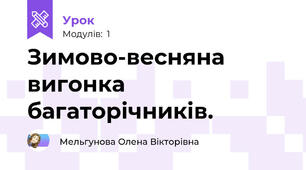 Зимово-весняна вигонка багаторічників.
