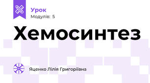 Хемосинтез