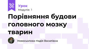 Порівняння будови головного мозку тварин