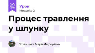 Процес травлення у шлунку