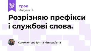 Розрізняю префікси і службові слова.