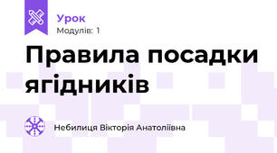 Правила посадки ягідників