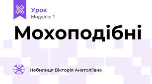 Мохоподібні