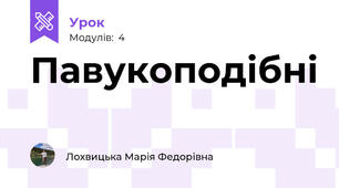 Павукоподібні