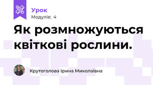 Як розмножуються квіткові рослини.