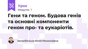 Гени та геном. Будова генів та основні компоненти геном про- та еукаріотів. 