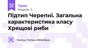 Підтип Черепні. Загальна характеристика класу Хрящові риби