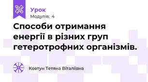 Способи отримання енергії в різних груп гетеротрофних організмів.