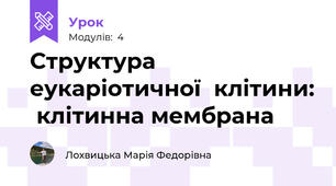 Структура  еукаріотичної  клітини:  клітинна мембрана