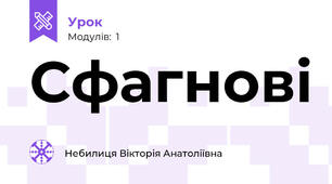 Сфагнові