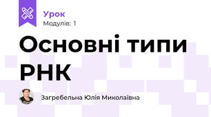 Основні типи РНК