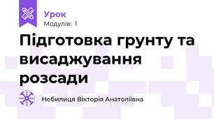 Підготовка грунту та висаджування розсади