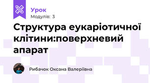 Структура еукаріотичної клітини:поверхневий апарат