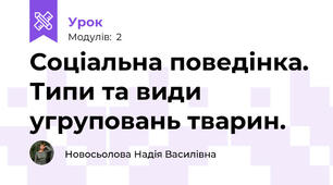 Соціальна поведінка. Типи та види угруповань тварин.
