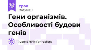 Гени організмів. Особливості будови генів