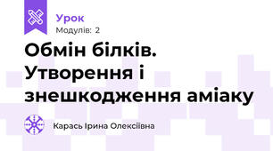 Обмін білків. Утворення і знешкодження аміаку