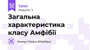 Загальна характеристика класу Амфібії