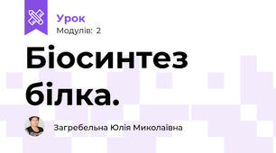 Біосинтез білка.
