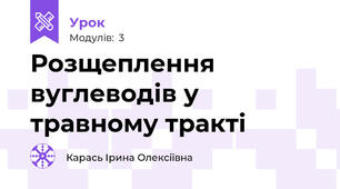 Розщеплення вуглеводів у травному тракті