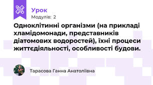 Одноклітинні організми (на прикладі хламідомонади, представників діатомових водоростей), їхні процеси життєдіяльності, особливості будови. 
