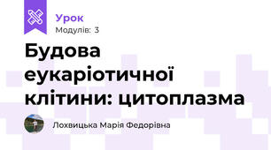 Будова еукаріотичної клітини: цитоплазма