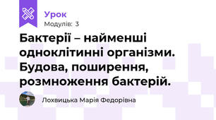 Бактерії – найменші одноклітинні організми. Будова, поширення, розмноження бактерій.