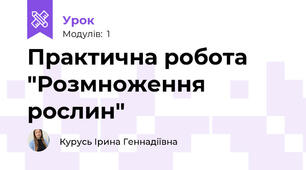 Практична робота "Розмноження рослин"